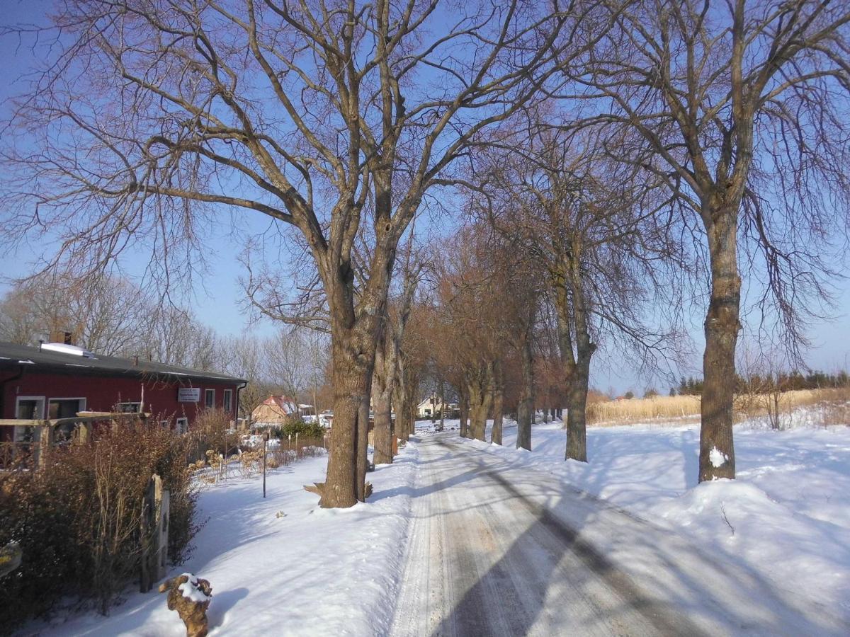 Apartmán Kunsthof Salsitz Lohme Exteriér fotografie